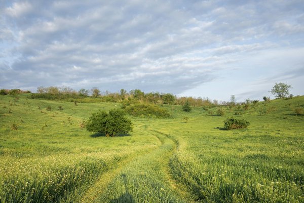 Discover the best lake district holiday rentals for unforgettable birdwatching escapades