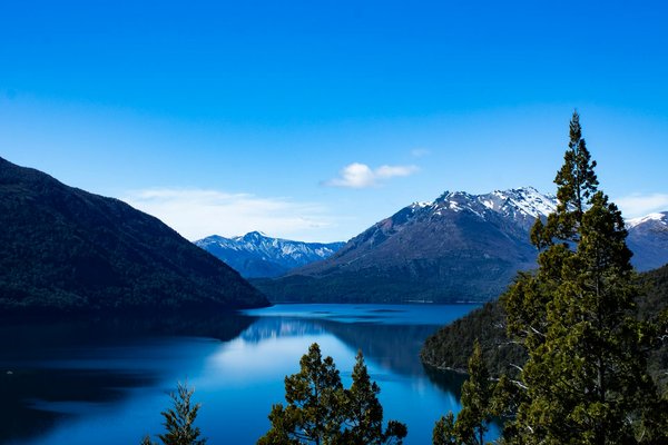 What are the must-try local dishes when visiting Northern Ireland for an authentic culinary experience?